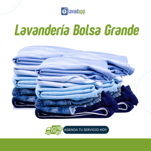 Lavandería Bolsa grande